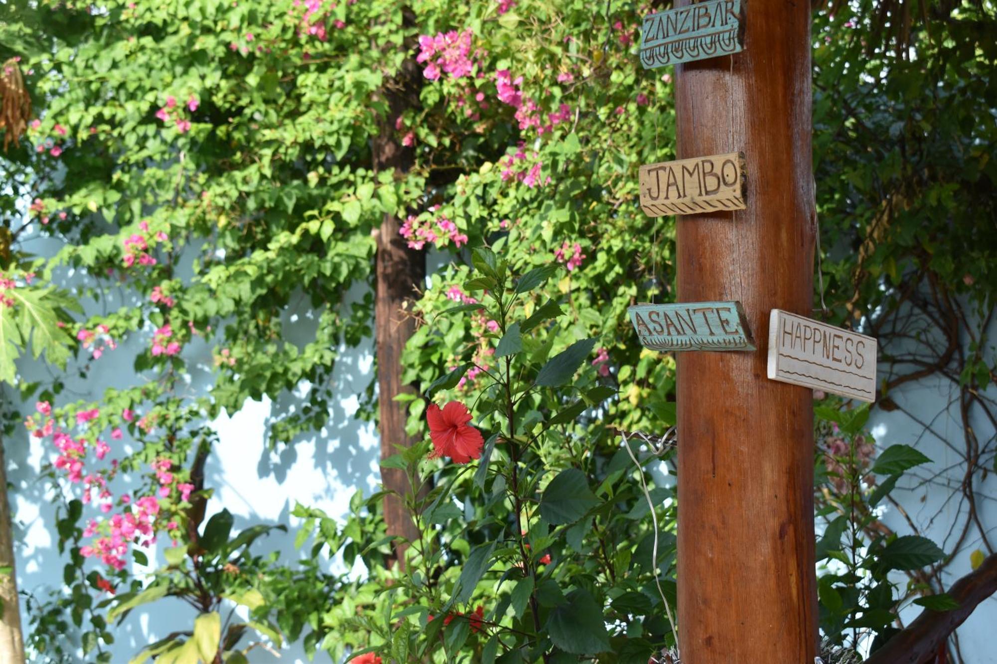 Pineapple House Bed & Breakfast Nungwi Exterior photo
