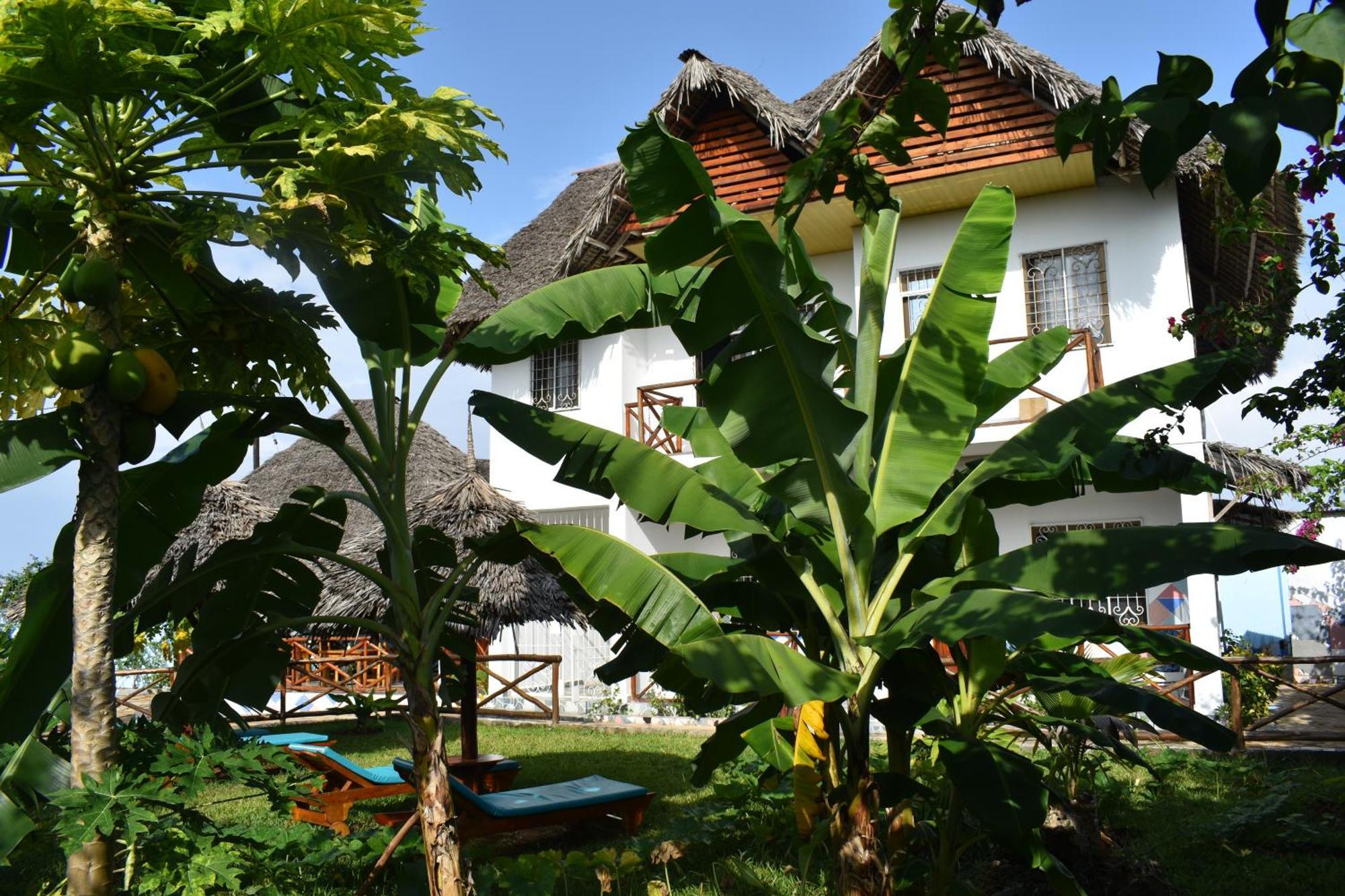 Pineapple House Bed & Breakfast Nungwi Exterior photo